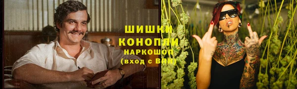 крисы Зеленодольск