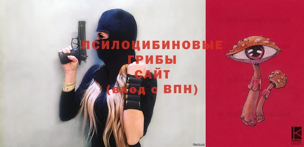 гидра Горняк