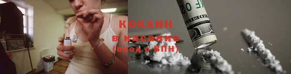 гидра Горняк