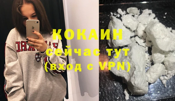 spice Кодинск