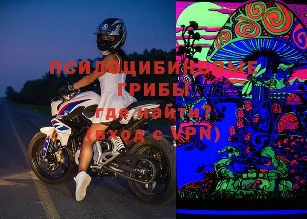 ешки Гусев
