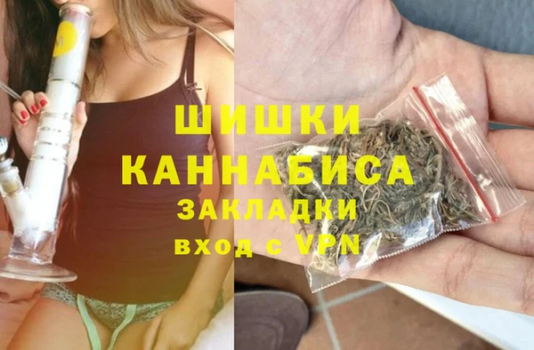 гидра Горняк