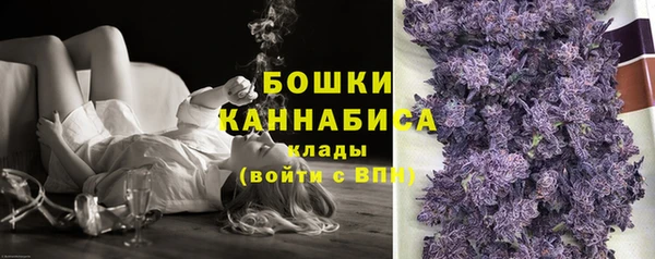 гидра Горняк