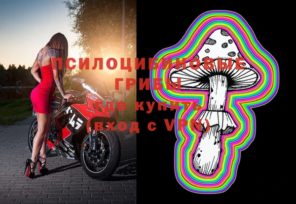 a pvp Горно-Алтайск