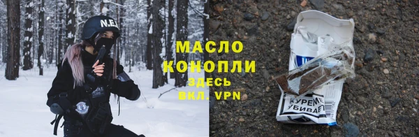 гидра Горняк