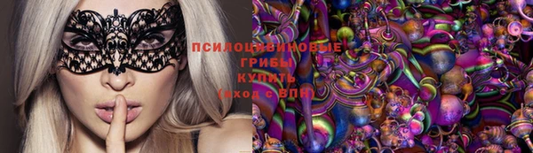 гидра Горняк