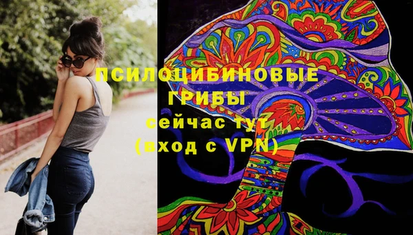 a pvp Горно-Алтайск