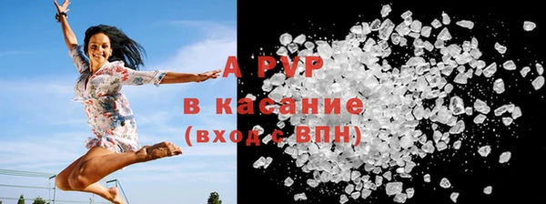 шишки Гусиноозёрск