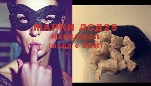 гидра Горняк