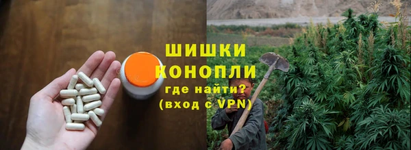гидра Горняк