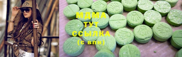 гидра Горняк